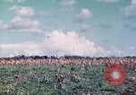 Image of 4th Tank Battalion Tinian Island Mariana Islands, 1944, second 8 stock footage video 65675063857