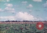 Image of 4th Tank Battalion Tinian Island Mariana Islands, 1944, second 9 stock footage video 65675063857