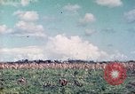 Image of 4th Tank Battalion Tinian Island Mariana Islands, 1944, second 10 stock footage video 65675063857