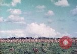 Image of 4th Tank Battalion Tinian Island Mariana Islands, 1944, second 12 stock footage video 65675063857