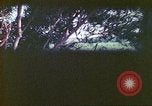 Image of 4th Tank Battalion Tinian Island Mariana Islands, 1944, second 8 stock footage video 65675063858