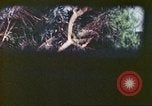 Image of 4th Tank Battalion Tinian Island Mariana Islands, 1944, second 9 stock footage video 65675063858