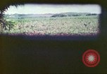Image of 4th Tank Battalion Tinian Island Mariana Islands, 1944, second 12 stock footage video 65675063858