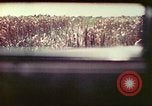 Image of 4th Tank Battalion Tinian Island Mariana Islands, 1944, second 13 stock footage video 65675063858