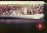 Image of 4th Tank Battalion Tinian Island Mariana Islands, 1944, second 14 stock footage video 65675063858