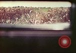 Image of 4th Tank Battalion Tinian Island Mariana Islands, 1944, second 18 stock footage video 65675063858