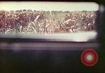 Image of 4th Tank Battalion Tinian Island Mariana Islands, 1944, second 19 stock footage video 65675063858
