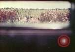 Image of 4th Tank Battalion Tinian Island Mariana Islands, 1944, second 23 stock footage video 65675063858