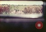 Image of 4th Tank Battalion Tinian Island Mariana Islands, 1944, second 24 stock footage video 65675063858