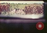 Image of 4th Tank Battalion Tinian Island Mariana Islands, 1944, second 25 stock footage video 65675063858