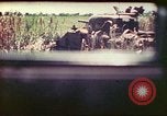 Image of 4th Tank Battalion Tinian Island Mariana Islands, 1944, second 32 stock footage video 65675063858