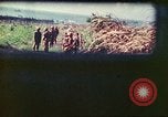 Image of 4th Tank Battalion Tinian Island Mariana Islands, 1944, second 42 stock footage video 65675063858