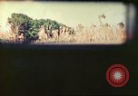 Image of 4th Tank Battalion Tinian Island Mariana Islands, 1944, second 48 stock footage video 65675063858
