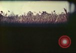 Image of 4th Tank Battalion Tinian Island Mariana Islands, 1944, second 52 stock footage video 65675063858