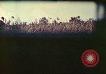 Image of 4th Tank Battalion Tinian Island Mariana Islands, 1944, second 53 stock footage video 65675063858