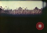 Image of 4th Tank Battalion Tinian Island Mariana Islands, 1944, second 54 stock footage video 65675063858