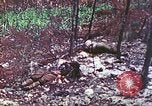 Image of 4th Tank Battalion Tinian Island Mariana Islands, 1944, second 39 stock footage video 65675063860