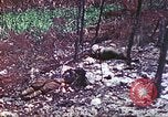 Image of 4th Tank Battalion Tinian Island Mariana Islands, 1944, second 40 stock footage video 65675063860