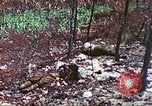 Image of 4th Tank Battalion Tinian Island Mariana Islands, 1944, second 42 stock footage video 65675063860