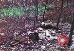 Image of 4th Tank Battalion Tinian Island Mariana Islands, 1944, second 45 stock footage video 65675063860