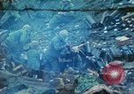 Image of 4th Marine Division Iwo Jima, 1945, second 13 stock footage video 65675063862