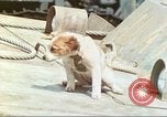 Image of 4th Marine Division Iwo Jima, 1945, second 21 stock footage video 65675063864