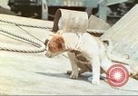 Image of 4th Marine Division Iwo Jima, 1945, second 22 stock footage video 65675063864