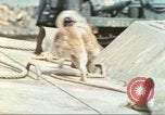 Image of 4th Marine Division Iwo Jima, 1945, second 24 stock footage video 65675063864