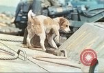 Image of 4th Marine Division Iwo Jima, 1945, second 25 stock footage video 65675063864