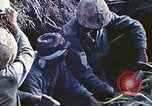Image of United States Marines Iwo Jima, 1945, second 17 stock footage video 65675063868