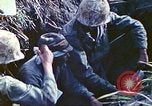 Image of United States Marines Iwo Jima, 1945, second 19 stock footage video 65675063868