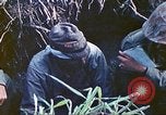 Image of United States Marines Iwo Jima, 1945, second 35 stock footage video 65675063868