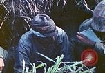 Image of United States Marines Iwo Jima, 1945, second 36 stock footage video 65675063868