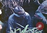Image of United States Marines Iwo Jima, 1945, second 38 stock footage video 65675063868