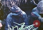 Image of United States Marines Iwo Jima, 1945, second 42 stock footage video 65675063868