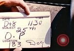 Image of United States Marines Iwo Jima, 1945, second 3 stock footage video 65675063870