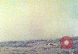 Image of 4th Marine Division Iwo Jima, 1945, second 57 stock footage video 65675063871