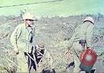 Image of 4th Marine Division Iwo Jima, 1945, second 16 stock footage video 65675063872