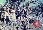 Image of 4th Marine Division Iwo Jima, 1945, second 22 stock footage video 65675063872