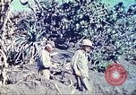 Image of 4th Marine Division Iwo Jima, 1945, second 26 stock footage video 65675063872
