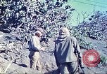 Image of 4th Marine Division Iwo Jima, 1945, second 28 stock footage video 65675063872
