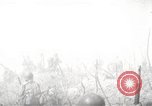 Image of 1st Battalion 151st Infantry Regiment 38th Division Philippines, 1945, second 18 stock footage video 65675063902