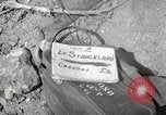 Image of 1st Battalion 151st Infantry Regiment 38th Division Philippines, 1945, second 3 stock footage video 65675063904