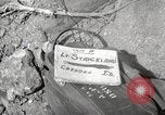 Image of 1st Battalion 151st Infantry Regiment 38th Division Philippines, 1945, second 4 stock footage video 65675063904