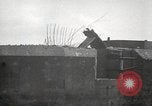 Image of 1st Battalion 151st Infantry Regiment 38th Division Philippines, 1945, second 30 stock footage video 65675063905