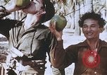 Image of Allied invasion troops Philippines, 1945, second 38 stock footage video 65675063911