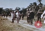 Image of Allied invasion troops Philippines, 1945, second 51 stock footage video 65675063911