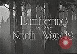Standbild schwerfälligen im North Woods United States USA, 1922, aus Sekunde 19 historischem Filmmaterial Videoclip 65675063921