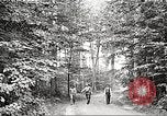 Image of workers fell trees United States USA, 1922, second 9 stock footage video 65675063922