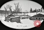 Image of workers fell trees United States USA, 1922, second 27 stock footage video 65675063922